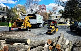 Why Choose Our Tree Removal Services in Greenwood, DE?